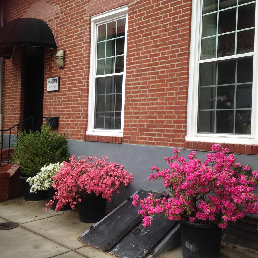볼티모어 블랑느와르 B&B 외부 사진